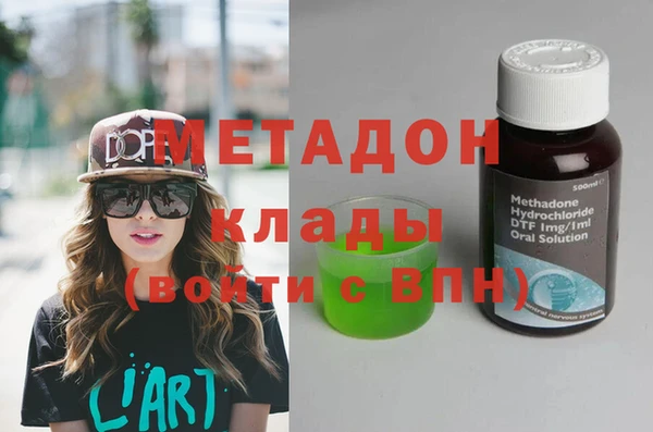 шишки Арсеньев