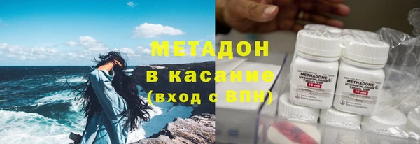 шишки Арсеньев