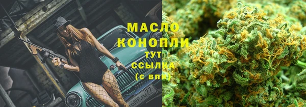 шишки Арсеньев