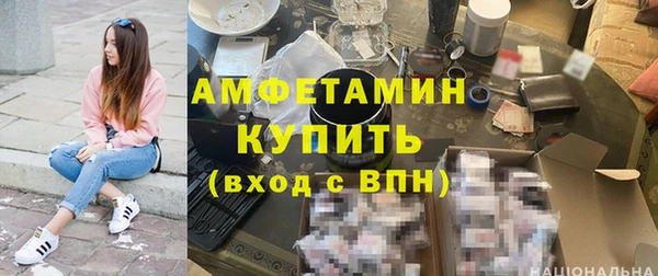 шишки Арсеньев