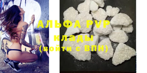 шишки Арсеньев