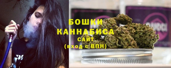 шишки Арсеньев