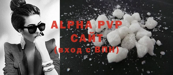шишки Арсеньев